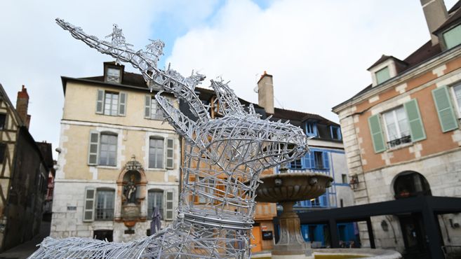 Sobriété énergétique : les villes de l'Yonne seront-elles illuminées pour Noël ?